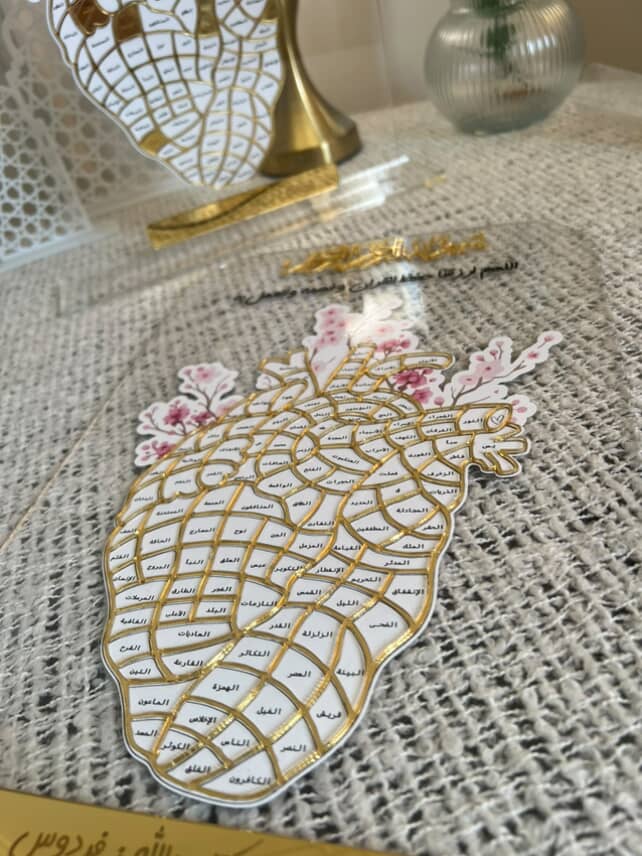 صورة إضافية 8